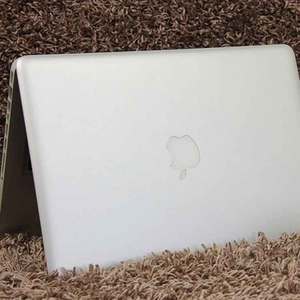 Apple/ƻ MacBook Pro MD101CH/A ʼǱ 13 15